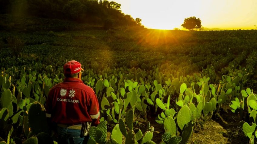 Presenta CDMX reglas de operación del programa Altépetl Bienestar 2024