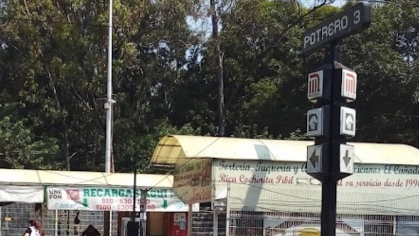 VIDEO Perrito provoca paro de 30 minutos en Metro Potrero