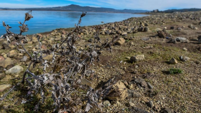 Cutzamala registra nuevo descenso, alerta Conagua: MAPA de estados con sequía extrema