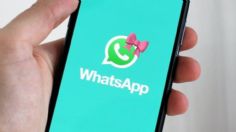 WhatsApp: este es el paso a paso para cambiar el ícono a modo coquette