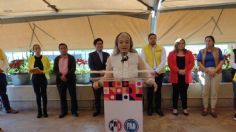 Luz Figueroa se une al proyecto de Lucy Meza y va en fórmula al Senado