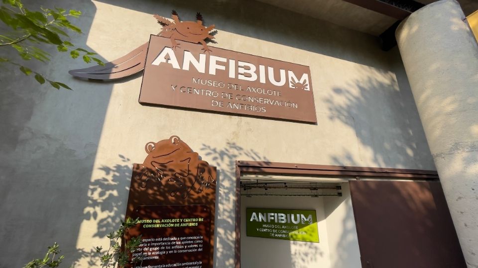 La dependencia señaló la importancia del recinto para la conservación de los anfibios.