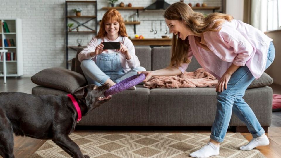 Estos trucos te ayudarán a mantener tu hogar limpio sin dañar la salud de tus mascotas.