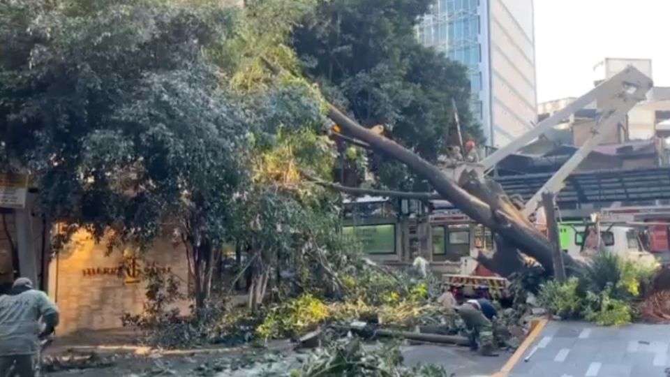 Los hechos ocurrieron frente al Metrobús Nápoles de la Línea 1.