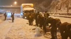 VIDEO | Casi 800 vehículos quedan atrapados por nevadas en Japón