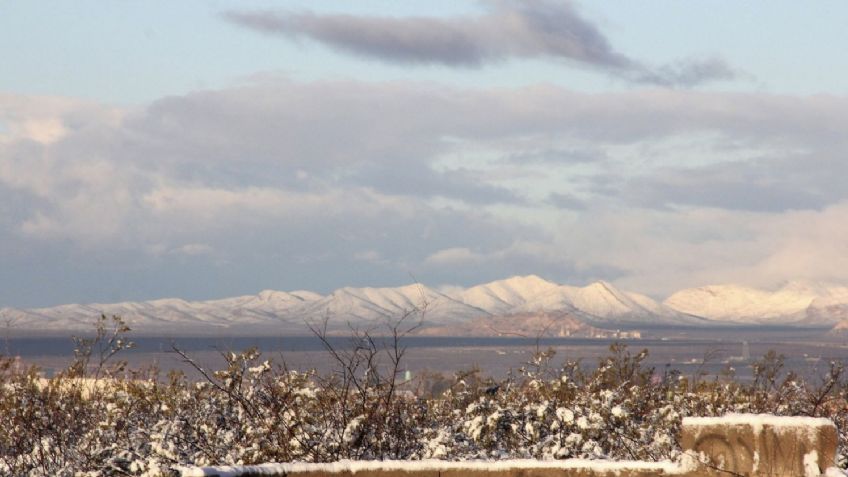 Estos son los estados que presentarán fuertes vientos y bajas temperaturas hoy 25 de enero