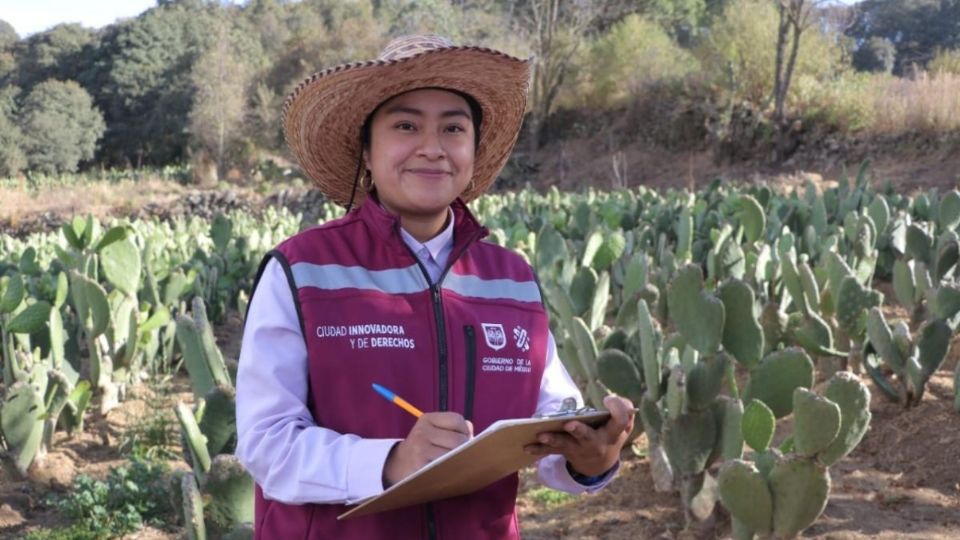 Los salarios pueden ir de los 7 mil a los 25 mil pesos dependiendo de las funciones.