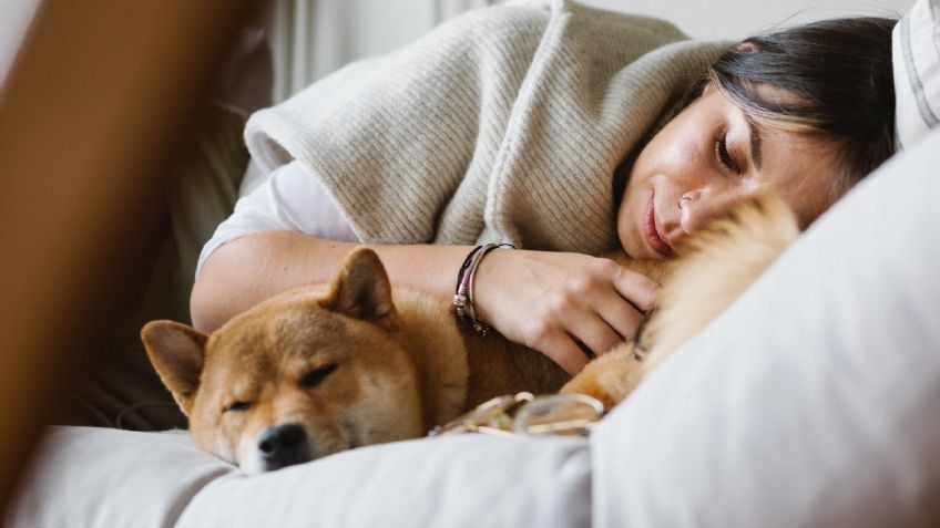 ¿Cómo despedirme de mi perro que murió?, tanatólogos enseñan a honrar a las mascotas fallecidas