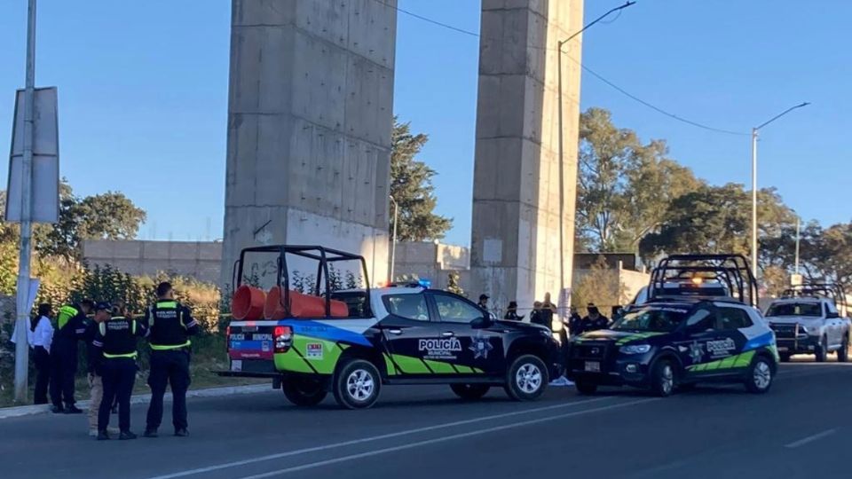 Tras asesinar a su novia, el sujeto se arrojó desde lo alto de un puente.