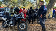 Guadalajara: Policía Metropolitana asegura a un reptil en áreas verdes del parque Morelos