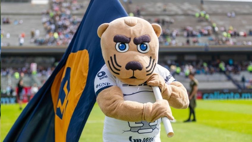 Pumas vs Pachuca: dónde y a qué hora ver EN VIVO el partido de la Jornada 3