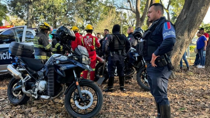 Guadalajara: Policía Metropolitana asegura a un reptil en áreas verdes del parque Morelos