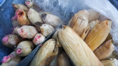 MAPA: aquí encontrarás los tamales más sabrosos de CDMX para el Día de la Candelaria