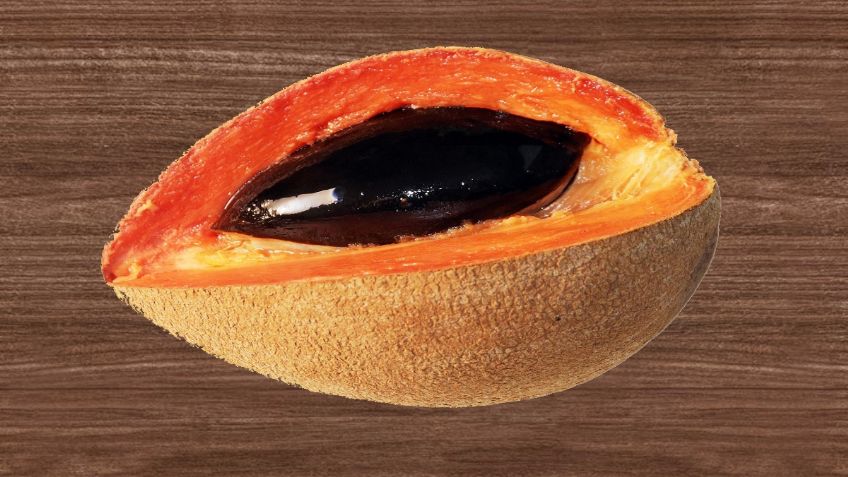 Sencillo truco para cultivar mamey en casa, solo necesitas su hueso 