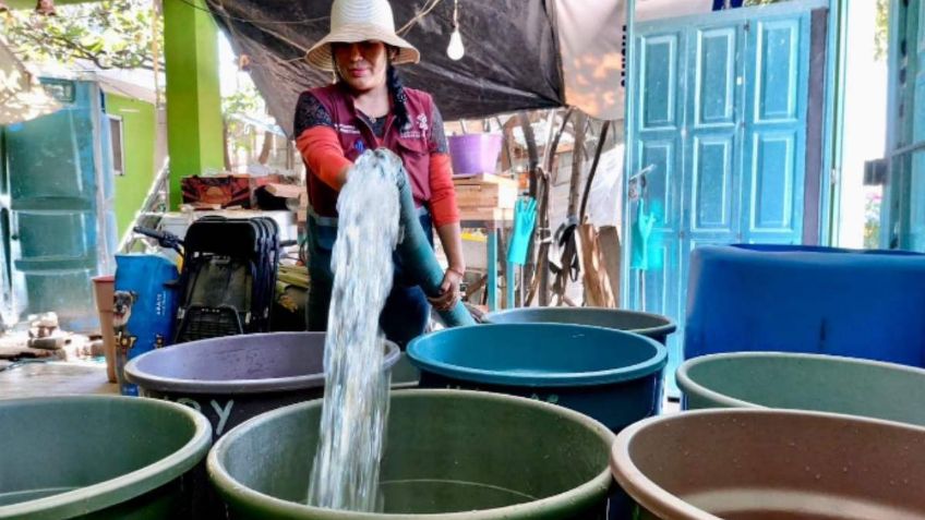 Crisis de agua en la CDMX: 3 acciones que debe hacer el gobierno para garantizar el abasto