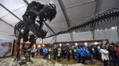 Los dinosaurios invaden la UNAM: todo lo que tienes que saber de la exposición en Universum