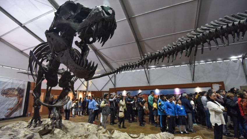 Descubren tres huevos de dinosaurio cristalizados en China, un fenómeno "extremadamente raro"