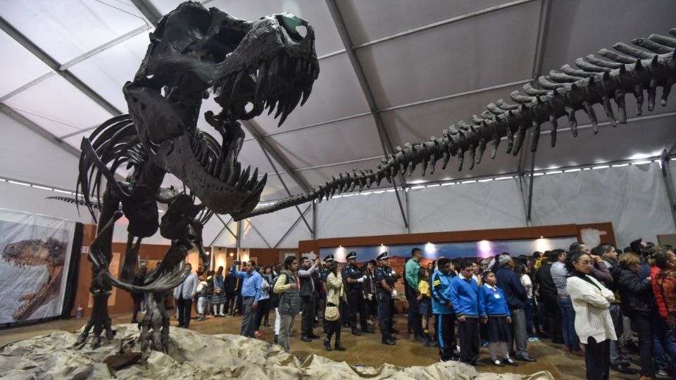 El proceso de cristalización de esta clase de huevos lleva miles o millones de años, según el Centro de Investigación de Huevos de Dinosaurio de Yunyang.