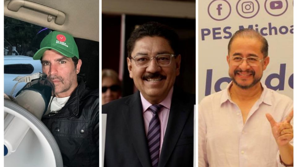 Eduardo Verástegui, Ulises Ruiz y Hugo Eric Flores eran los tres perfiles más conocidos.