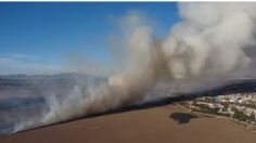 VIDEOS: fuerte incendio consume pastizales en la Laguna de Zumpango, Edomex