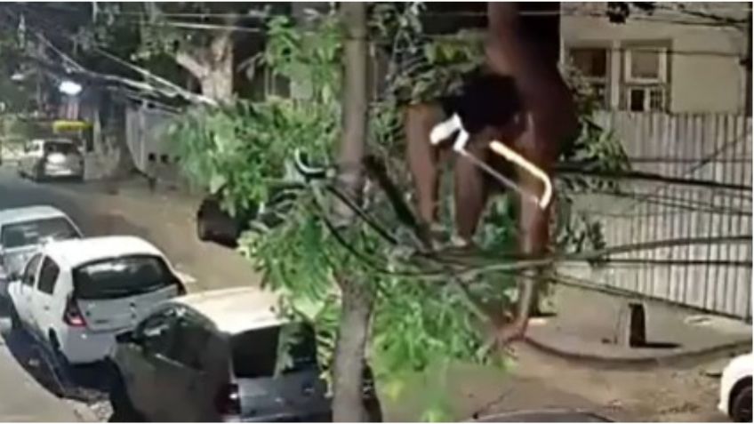 VIDEO: hombre escala poste de luz y es captado robando cables, termina cayendo desde 3 metros