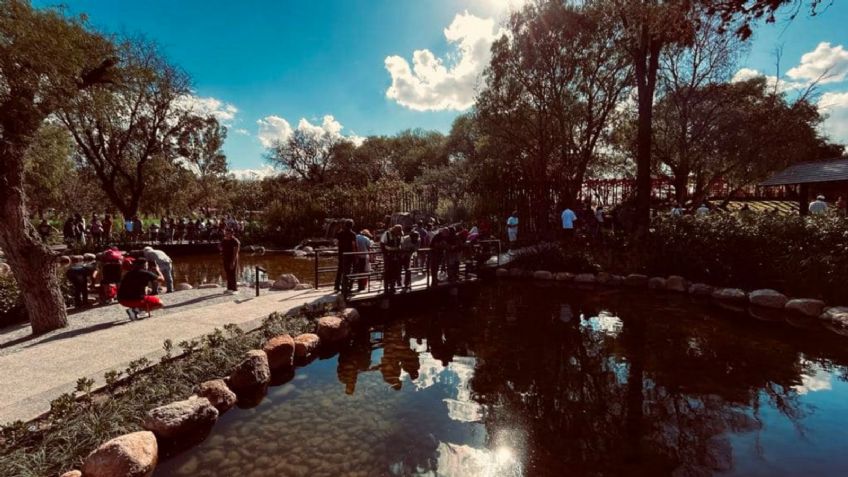 Este es el parque mexicano que casi duplica el tamaño de Central Park, y está en San Luis Potosí, ¿es gratis?