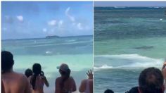 VIDEO: el aterrador momento en que un tiburón sorprende a turistas en el mar de Colombia