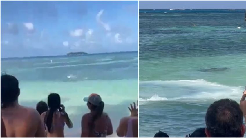 VIDEO: el aterrador momento en que un tiburón sorprende a turistas en el mar de Colombia