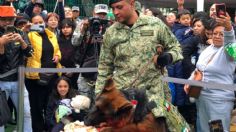 Arkadas, el perrito donado por el gobierno de Turquía a México, celebró su cumpleaños este domingo