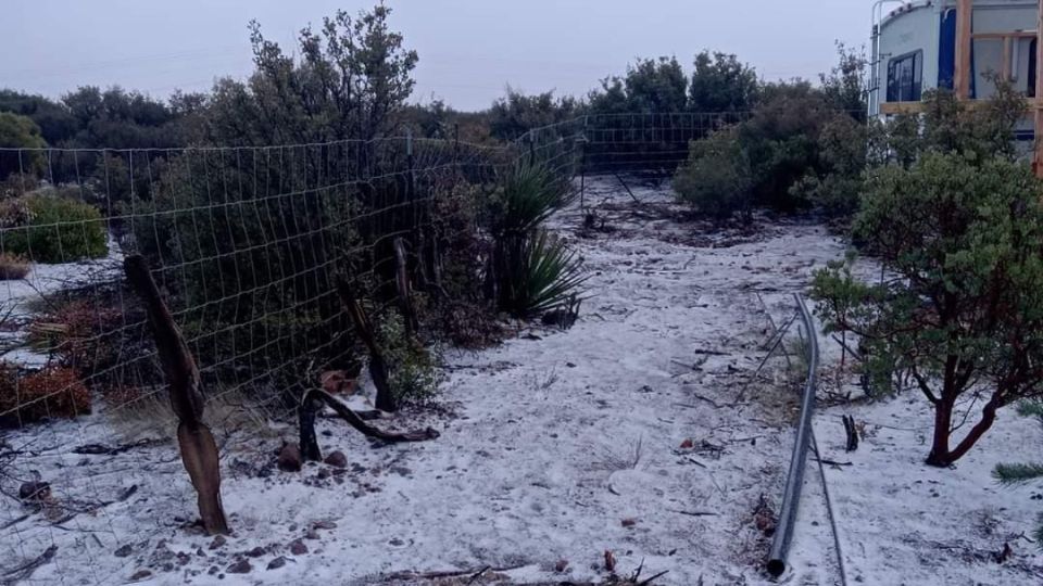 Las calles se vistieron de blanco este domingo.