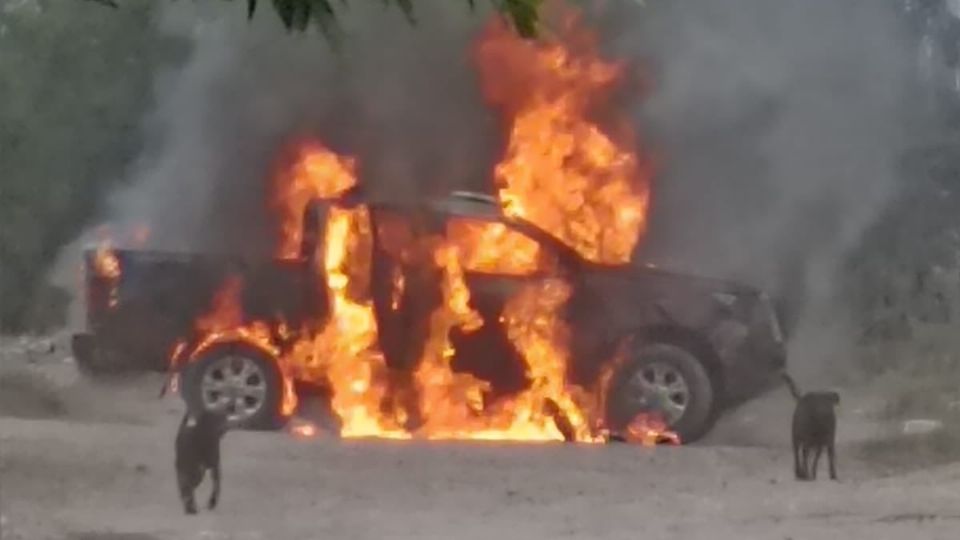 Hast el momento, se reportan varios carros incendiados.