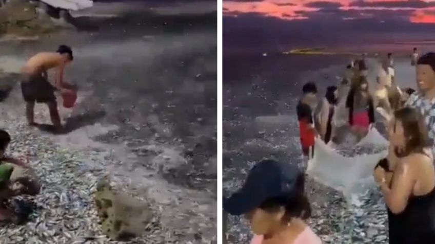 VIDEO: la escalofriante escena antes del terremoto magnitud 6.7 hoy en Filipinas