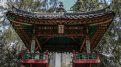 Descubre el jardín coreano escondido en Chapultepec que todo amante del K-Pop y los doramas debe visitar en su tiempo libre