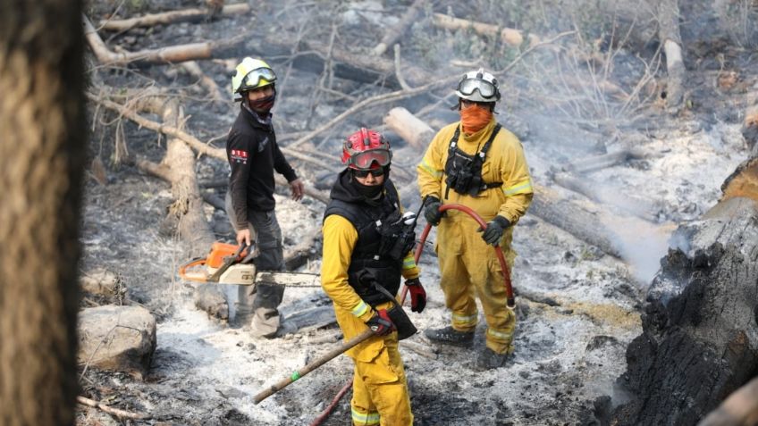 FOTOS: voraz incendio consume 80 hectáreas en bosque de Nuevo León