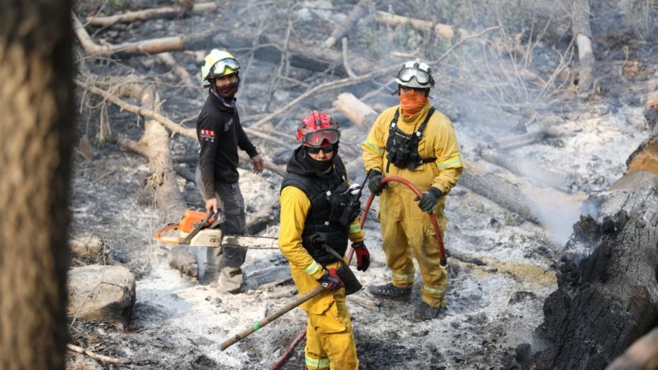 Los pobladores alertaron a las autoridades del incendio