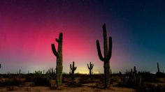 Auroras Boreales conquistan e iluminan el cielo en el norte de México | FOTOS