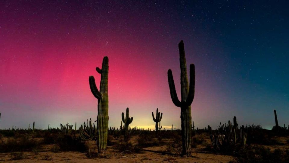 El cielo del norte se pintó de colores hermosos.