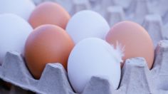 Huevos blancos o rojos: ¿Cuáles son más saludables y cuáles son sus diferencias?