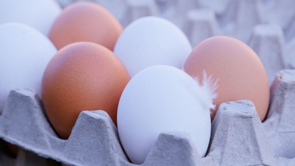 Te diremos qué es lo que determina el color de los huevos de gallina.