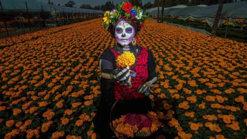 Llega el Festival de Flores de Cempasúchil a Paseo de la Reforma