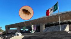 Congreso de la CDMX exhorta al Auditorio Nacional a atender problema de chinches