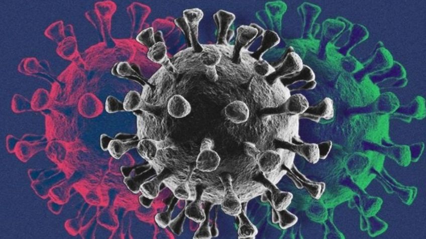 Detectan nueva variante Covid-19 que impacta con 94 mutaciones