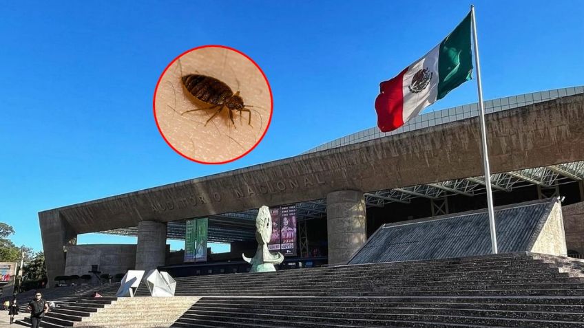 Congreso de la CDMX exhorta al Auditorio Nacional a atender problema de chinches