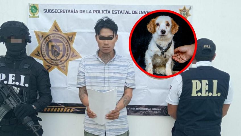 Detienen a sujeto que mató con un cuchillo a "Covi", un perrito callejero en Mérida