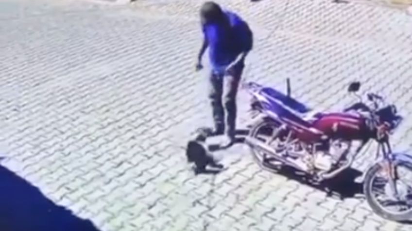 VIDEO: graban a sujeto arrastrando a un perrito que llevaba atado en su moto en Jalisco