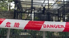 Misterio en un zoológico de Hong Kong: nueve monos, tres en peligro de extinción, mueren inexplicablemente en 2 días