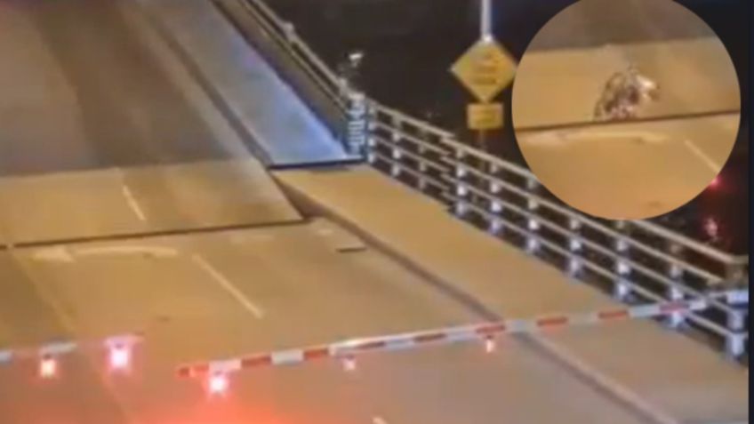 Ciclista es aplastado por un puente elevadizo: VIDEO