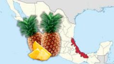 Conoce el municipio de Veracruz que es rey en la producción de piña nacional