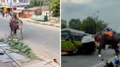 VIDEO: Elefante furioso ataca un auto y lo aplasta como si fuera un juguete en India