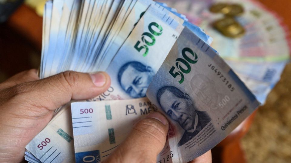 Decenas de mexicanos han encontrado una oportunidad para ganar dinero con un empleo temporal.